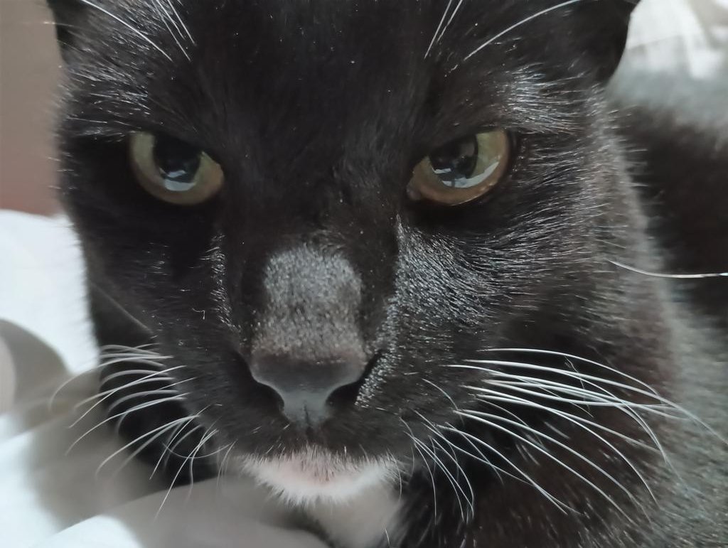 Azi is done with all the shenanigans. LOL