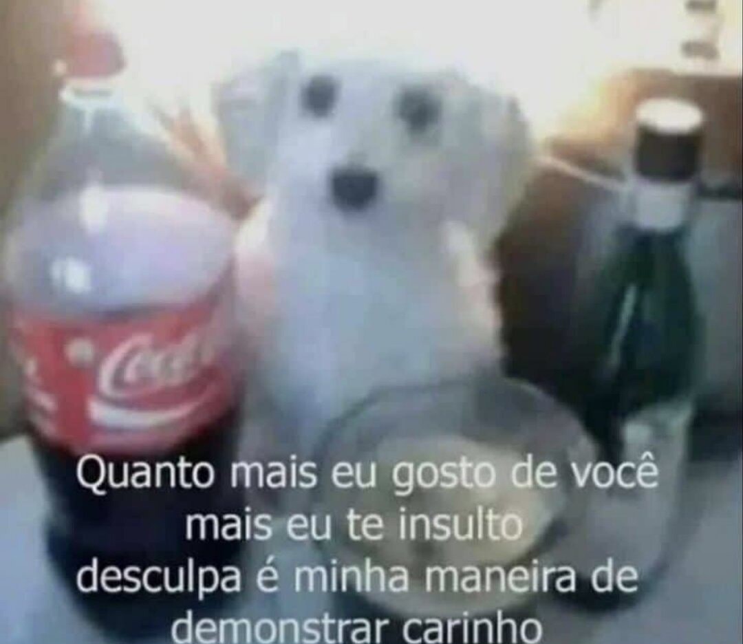 animaisfrases_'s tweet photo. https://t.co/kVd1GILpbi