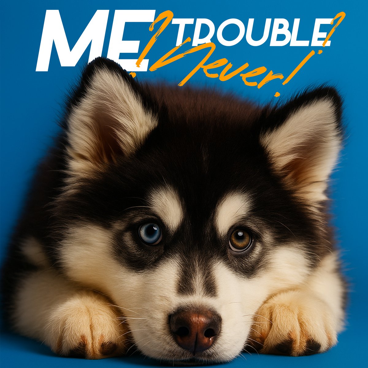 Me? Trouble? Never. I just knocked over the plant… by accident. 😼🌿
#CatLogic #MeowMood #TroubleMaker #FelineHumor #Mascoshop