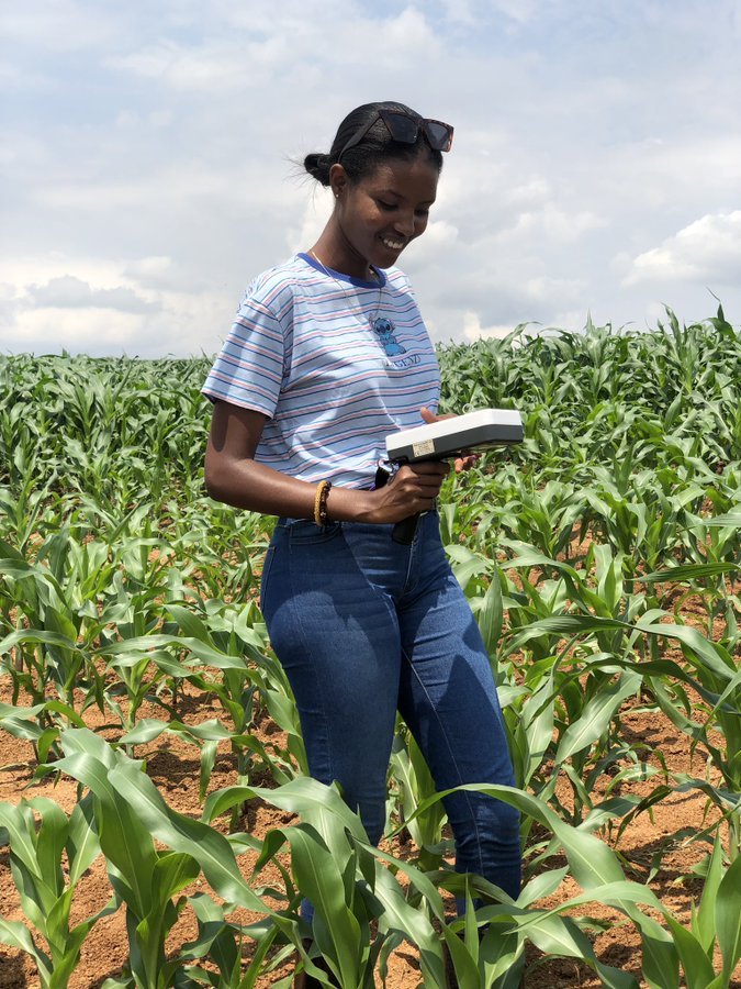 diharagirimana's tweet photo. Agriculture can be a gold mine for young entrepreneurs.
Do you agree? https://t.co/1Cj7nSoQKR