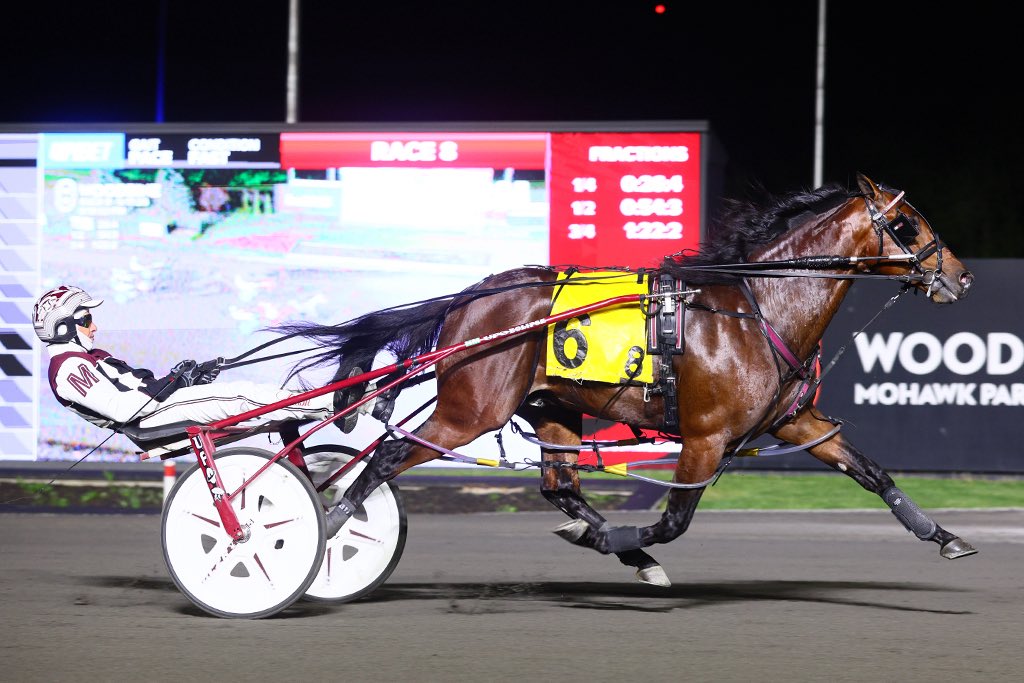 Woodbine Mohawk Park (@woodbinesb) on Twitter photo Crack Shot is an all around family affair heading into Saturday’s $1M #NACup.
The McNairs, Hunters and more are hoping Crack Shot fires his best shot in the big race.
➡️ ontarioracing.com/news-and-resul…
📸 | <a href="/woodbinephotos/">Woodbine Photos</a> Crack Shot is an all around family affair heading into Saturday’s $1M #NACup.
The McNairs, Hunters and more are hoping Crack Shot fires his best shot in the big race.
➡️ ontarioracing.com/news-and-resul…
📸 | <a href="/woodbinephotos/">Woodbine Photos</a>