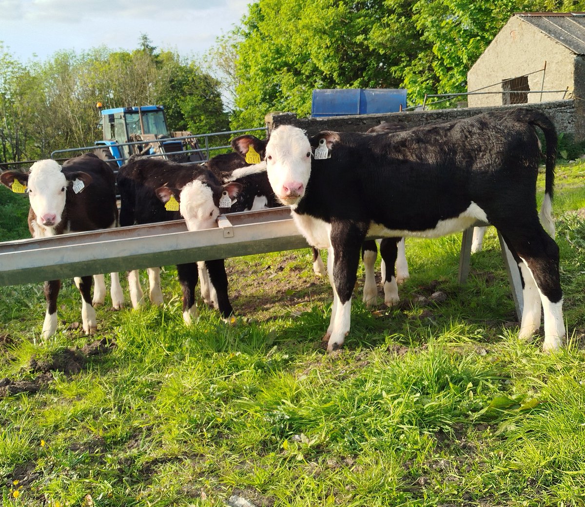 The May weather a distant memory now 😭😭