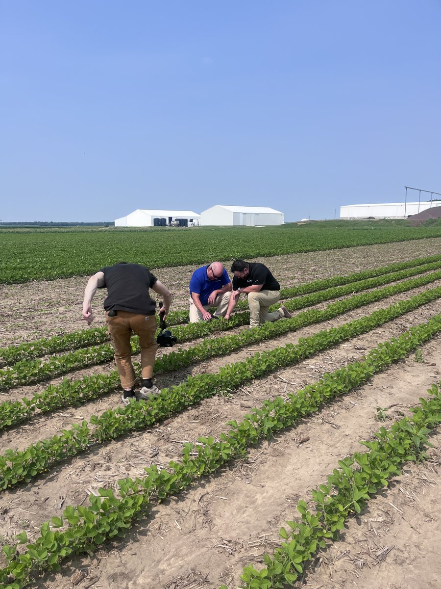 BurrusSeed's tweet image. 🌽🎬🌱We have been filming new #BurrusSeed videos this week to help share our company&apos;s message and our 90 year history - stay tuned to see the final product!