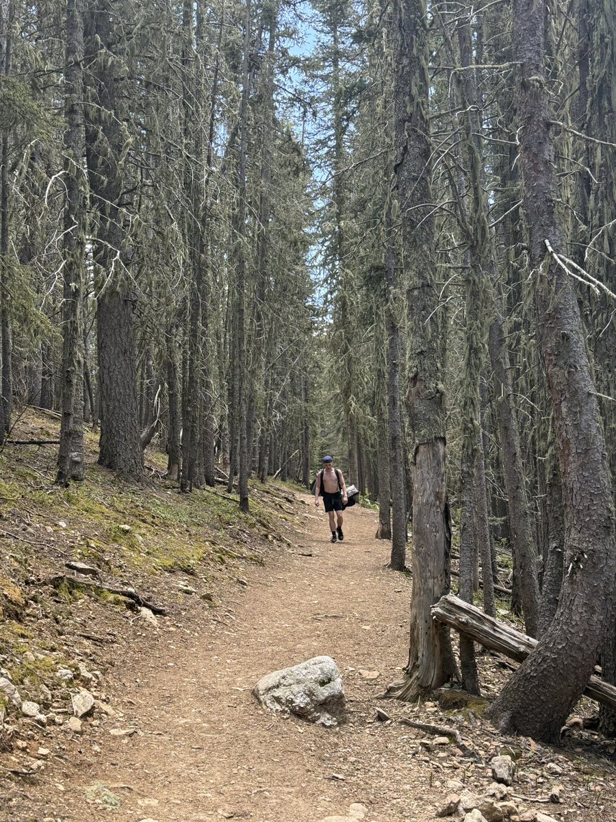 ThisCoxRox's tweet photo. Hiking trip in NM 🌞💯 https://t.co/8jd39EOb6A