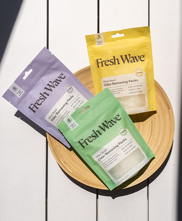 Fresh Wave tweet media