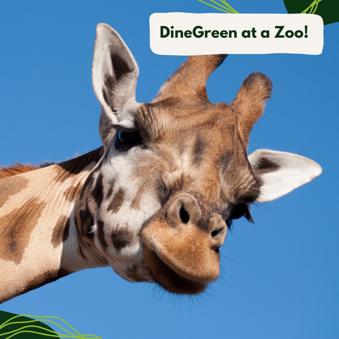 This summer, visit a #zoo with a Certified Green Restaurant®, where you can #dinegreen while enjoying some of the world’s amazing wildlife.

Check out the Certified Green Restaurants® at these zoos:
🌱@CinccinatiZoo
🌱@AssiniboineParkZoo
🌱@LincolnParkZoo

dinegreen.com/results
