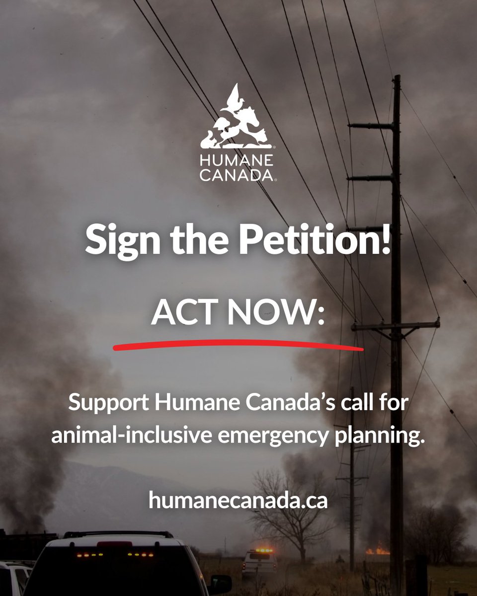 Canada needs a national plan that includes animals in emergencies. 🐾

Too many families are forced to choose between safety and their pets.

Sign the petition to make animal-inclusive response a priority: ourcommons.ca/petitions/en/P…

#ProtectPets #HumaneCanada