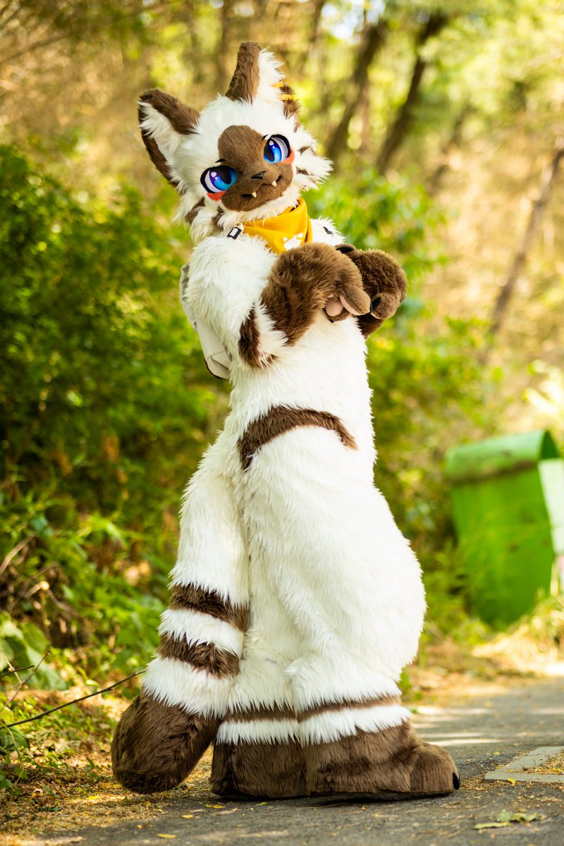 샴푸 (@siampoo_) on Twitter photo 