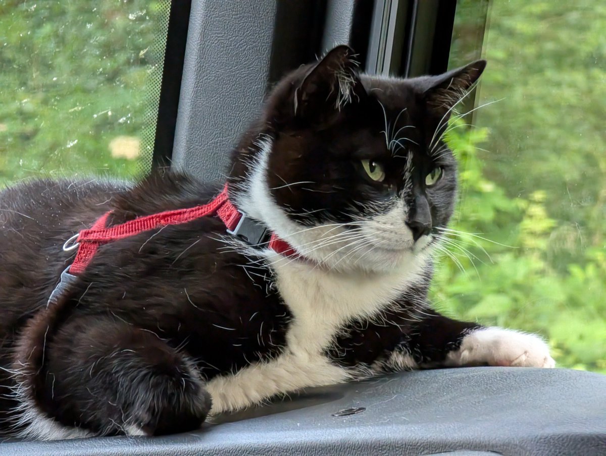 Guten Abend Schnarchen von Scotty!