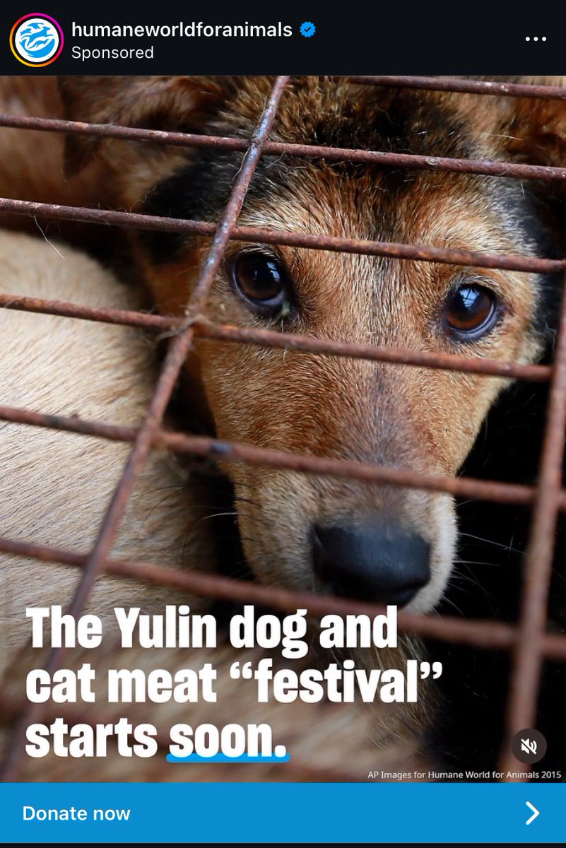 NALJR (@nicklocontejr) on Twitter photo #STOPYULIN 🐶🩵🐱 #BoycottChina
<a href="/humaneworldorg/">Humane World for Animals</a>
Please click link to donate 👇
donate.humaneworld.org/page/162219/do… #STOPYULIN 🐶🩵🐱 #BoycottChina
<a href="/humaneworldorg/">Humane World for Animals</a>
Please click link to donate 👇
donate.humaneworld.org/page/162219/do…