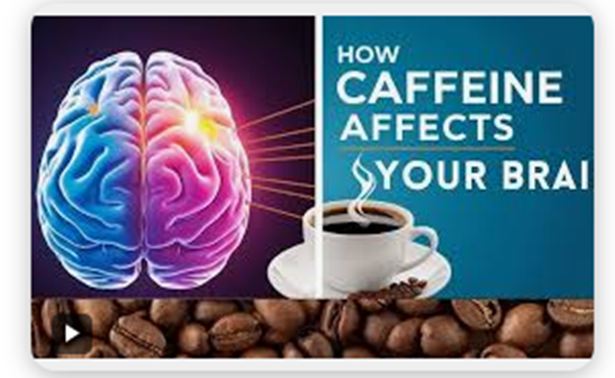 "How Caffeine Affects Your Brain During Sleep" from Newsmax Health...

newsmax.com/health/health-…

#brain-health