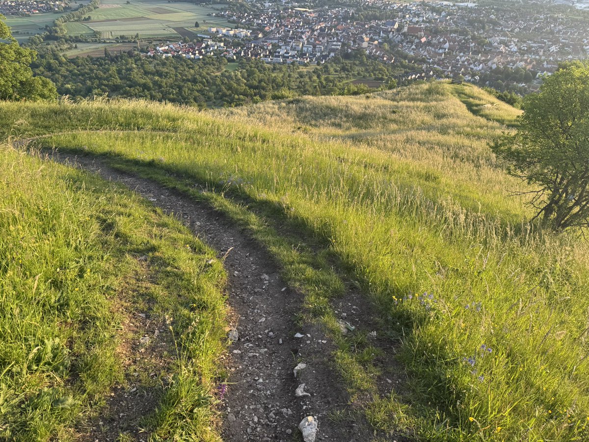Höhenmeter an der Limburg gesammelt 
#trailrunning