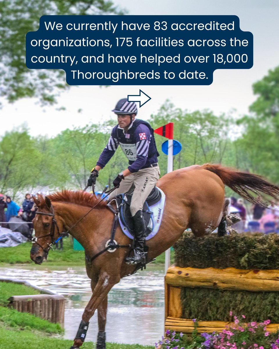 What does Thoroughbred Aftercare Alliance do?

Let us tell you. 👇 

#TBAftercare #ThoroughbredAftercareAlliance