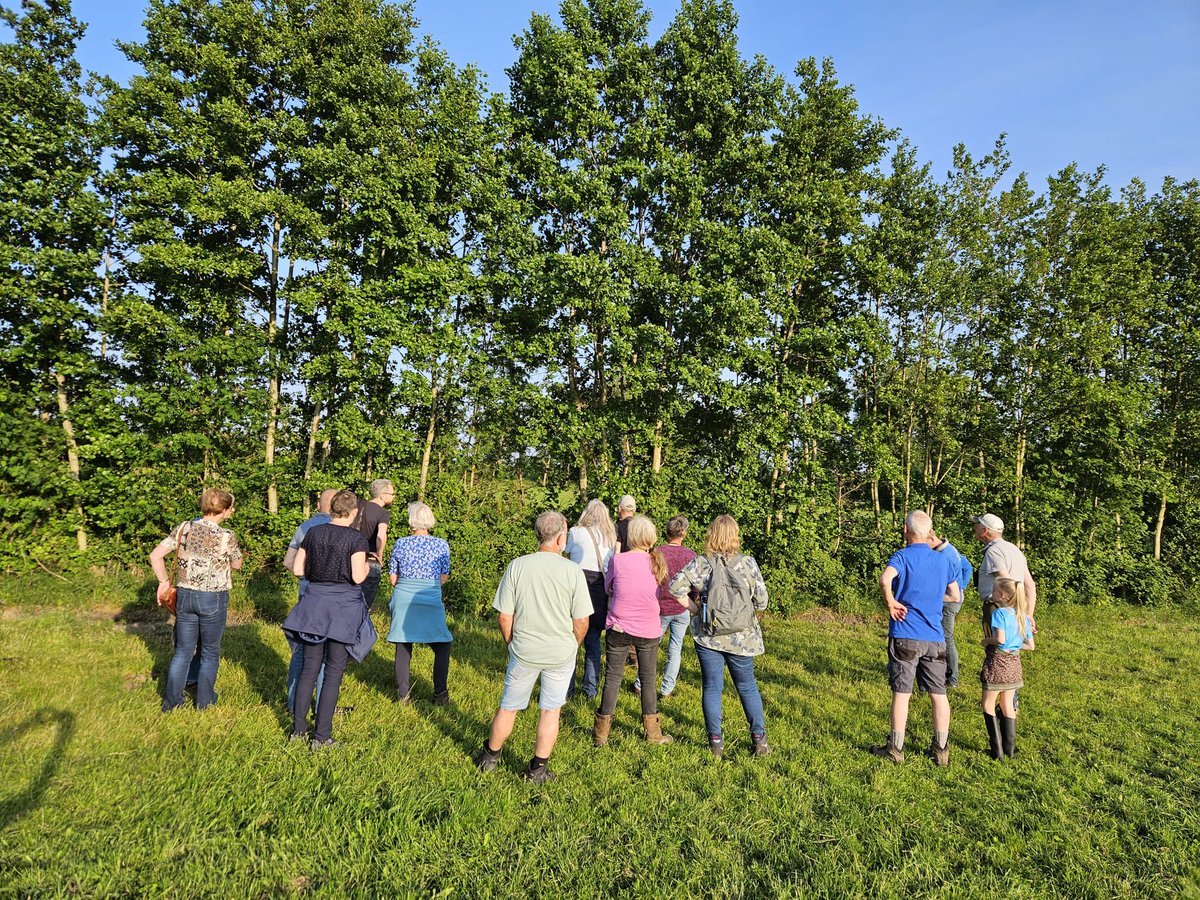 Prachtige avond voor een wandeling door het #coulisselandschap met ecoloog Ernst Oosterveld. Hij vertelde o.a. over de gekraagde roodstaart en het bijzondere landschap waar deze 'Keninginne fan de Wâlden' leeft.