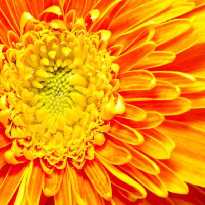 Finding the right spiritual teacher begins with knowing what you need at each stage in your spiritual development.

dharmawisdom.org/when-the-stude…