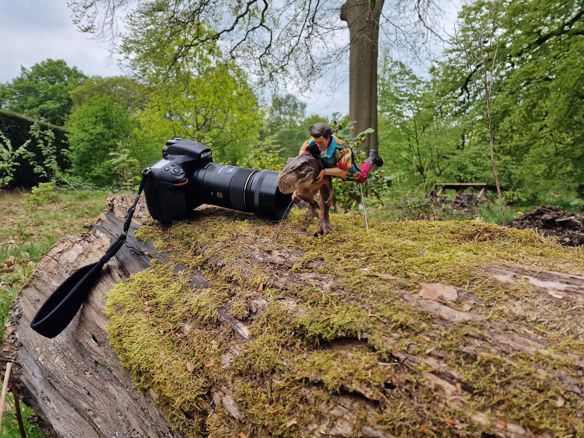 "Ace Ventura: Pet Detective... Dinosaur Division!" 🦖

<a href="/NECA_TOYS/">NECA</a> #aceventura #petdetective #jimcarrey #trex #toyphotography #PopCulture