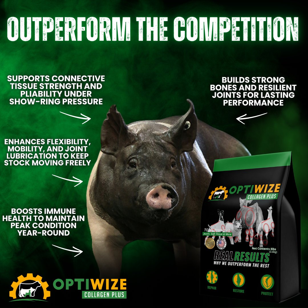 OptiWize Health tweet media