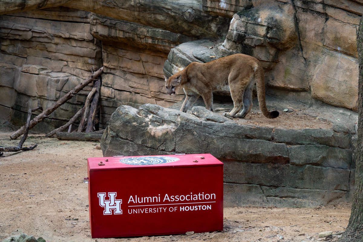 University of Houston Alumni tweet media