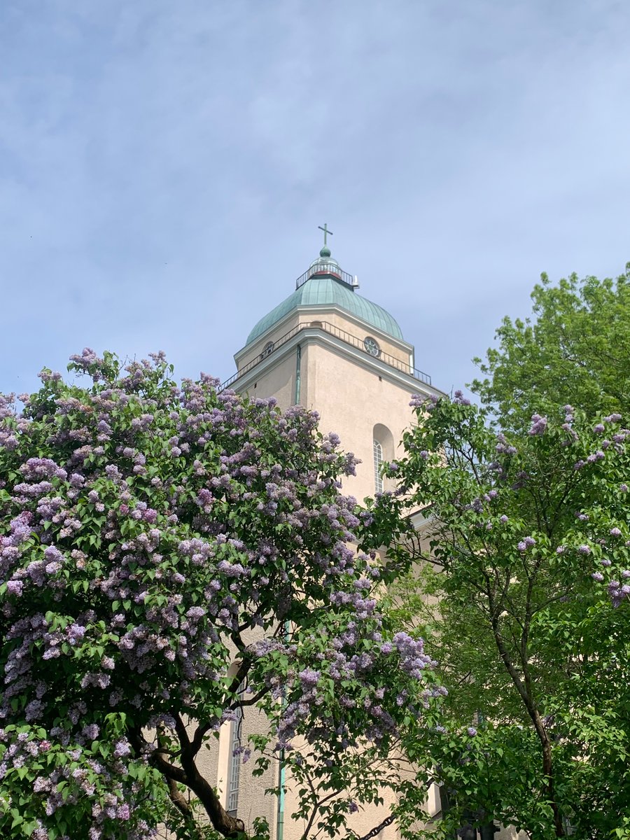 rin 🇵🇸 tweet media