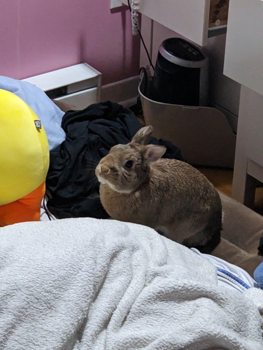 rocky.. 🍁 tweet media