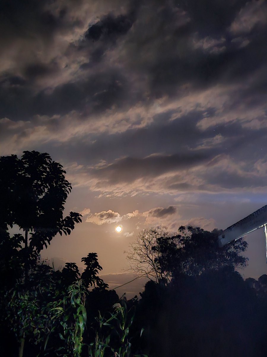 HenrySsenyonga5's tweet image. 🌕