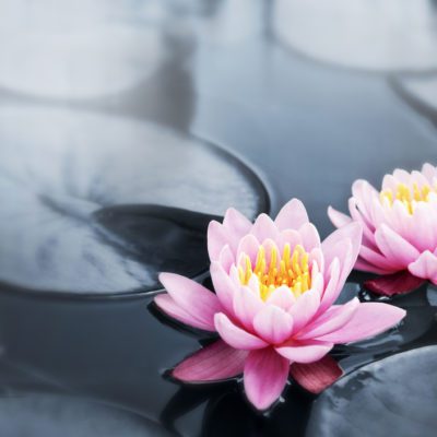 Setting intentions is not the same as making goals. Understanding the difference can lead to more skillful living and less suffering.