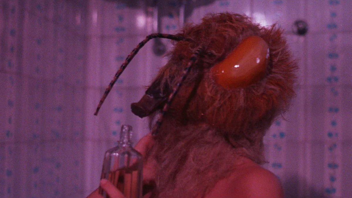 gialloclub's tweet image. Stills from DELIRIUM: PHOTO OF GIOIA / LE FOTO DI GIOIA (1987). Episode streaming everywhere and on anchor.fm/gialloclub.