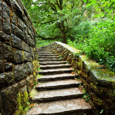 Practicing loving-kindness and compassion allows you to be at peace in the midst of suffering.

dharmawisdom.org/opening-to-lov…