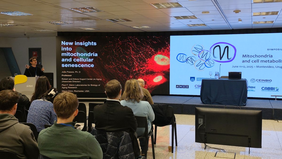 Cerramos la última sesión con la presentación del Dr. Joao Passos de <a href="/MayoClinic/">Mayo Clinic</a>