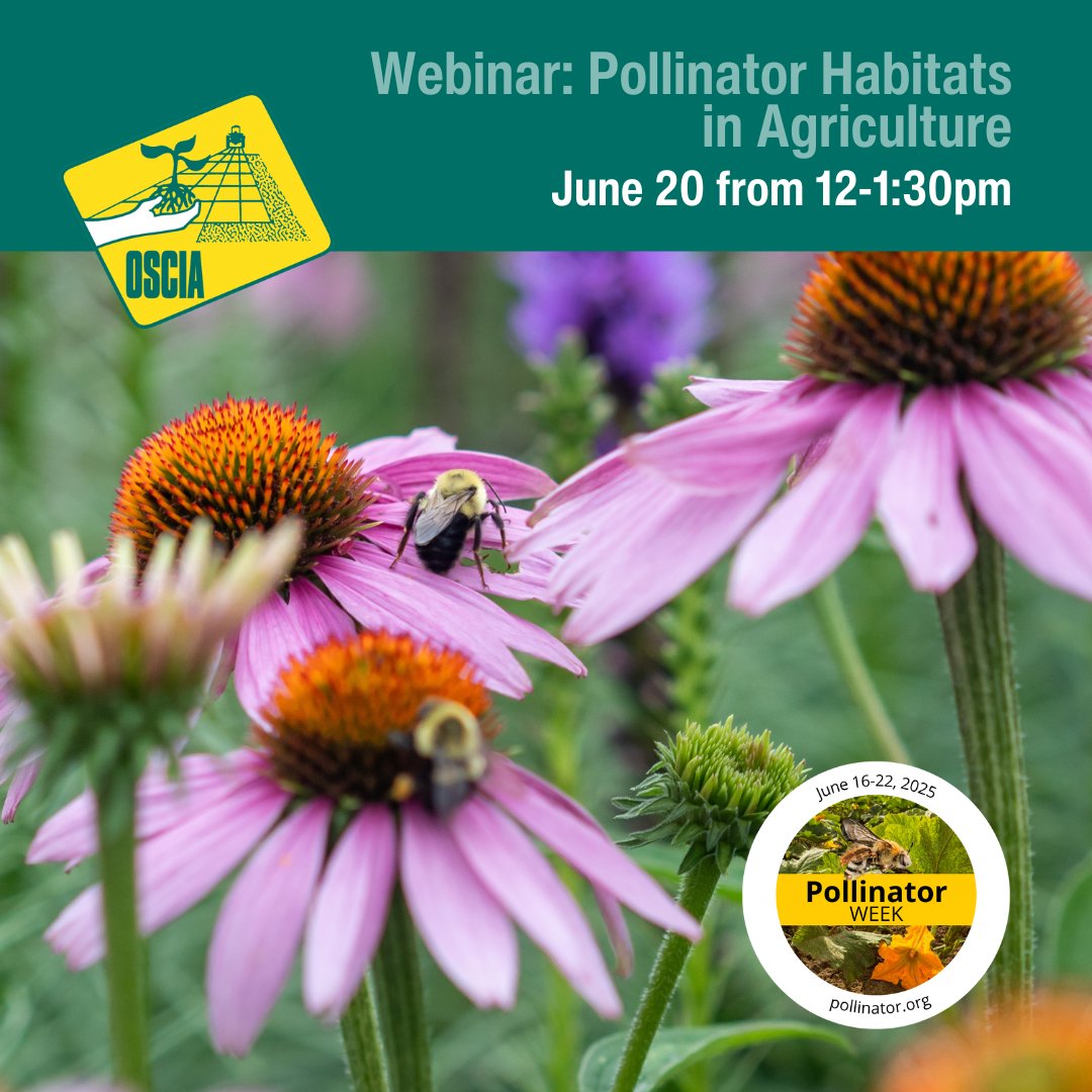 Ontario Soil & Crop (@ontariosoilcrop) on Twitter photo Celebrate #PollinatorWeek with #OntarioSoilCrop!
Join us June 20 at 12PM for a free virtual event on Pollinator Habitats in Agriculture. Hear from experts Susan Willis Chan (<a href="/uofg/">University of Guelph</a>) and Vicky Papuga (CWF)
Register: rebrand.ly/q7veik4
#OntAg #OperationPollinator Celebrate #PollinatorWeek with #OntarioSoilCrop!
Join us June 20 at 12PM for a free virtual event on Pollinator Habitats in Agriculture. Hear from experts Susan Willis Chan (<a href="/uofg/">University of Guelph</a>) and Vicky Papuga (CWF)
Register: rebrand.ly/q7veik4
#OntAg #OperationPollinator
