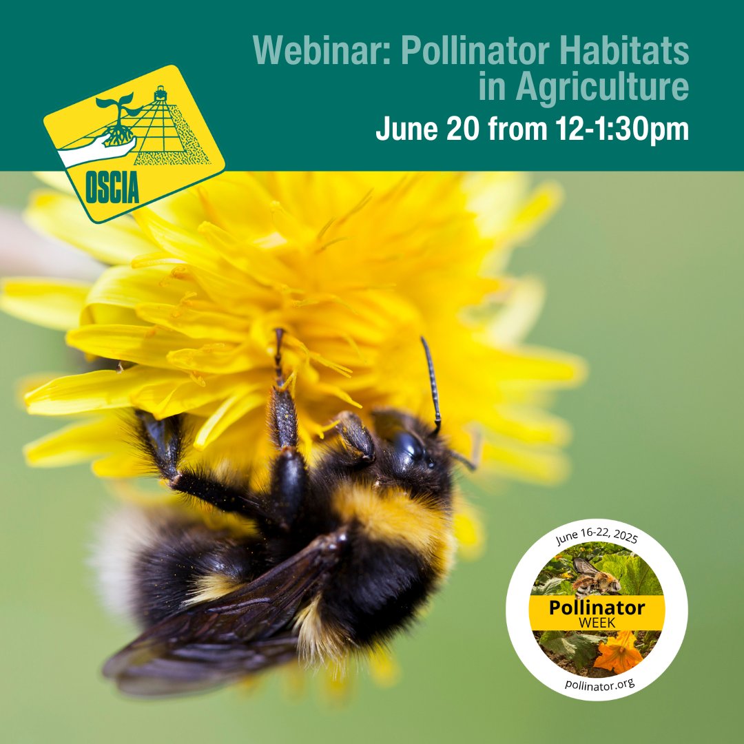 Ontario Soil & Crop (@ontariosoilcrop) on Twitter photo TOMORROW: Support pollinators & boost biodiversity on your farm.
Join us June 20 at 12PM for a free virtual event on pollinator habitats in ag—featuring <a href="/syngentacanada/">Syngenta Canada</a> Canada's #OperationPollinator & expert speakers.
Register: rebrand.ly/q7veik4
#PollinatorWeek TOMORROW: Support pollinators & boost biodiversity on your farm.
Join us June 20 at 12PM for a free virtual event on pollinator habitats in ag—featuring <a href="/syngentacanada/">Syngenta Canada</a> Canada's #OperationPollinator & expert speakers.
Register: rebrand.ly/q7veik4
#PollinatorWeek