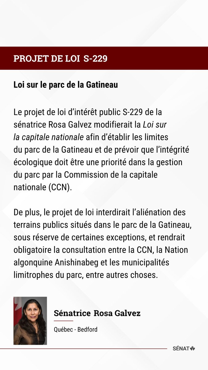 Les sénateurs discutent maintenant du projet de loi #S229 de la @senrosagalvez en deuxième lecture au Sénat : ow.ly/vu2C50W8x2Q 

#SenCA #PolCan