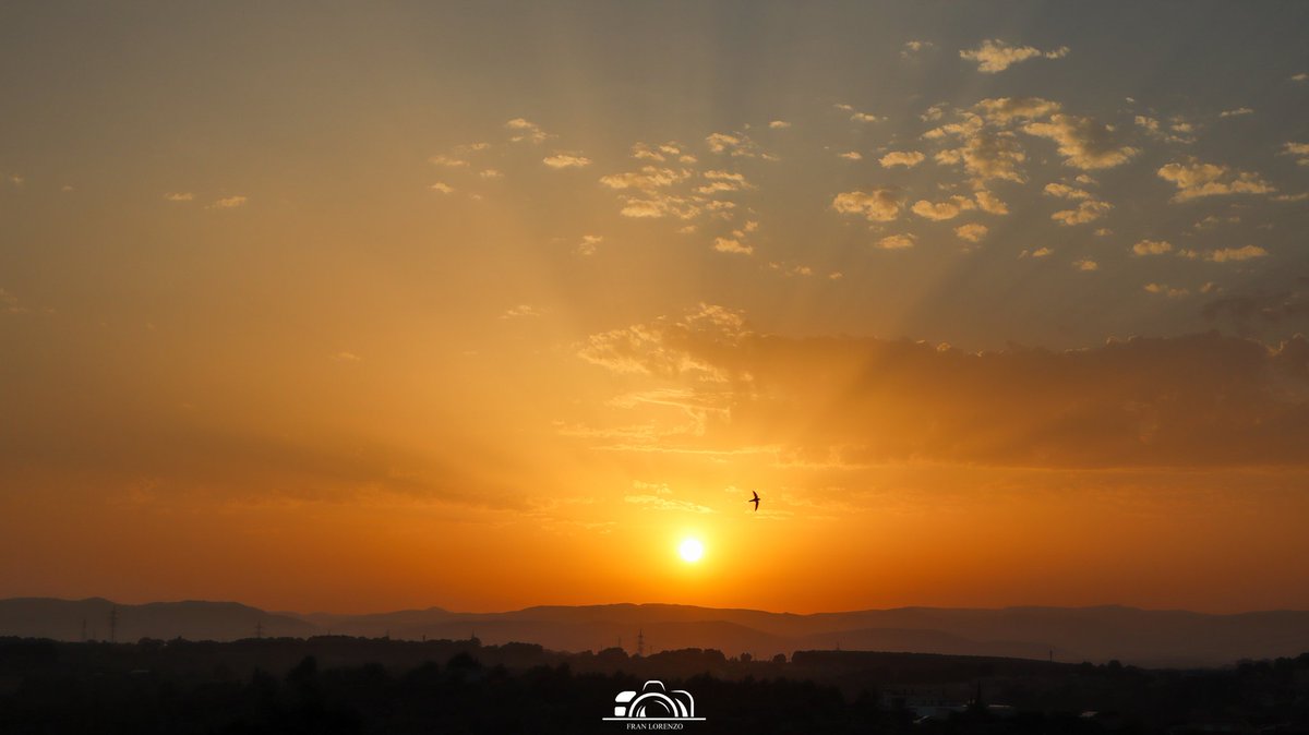 Fran Lorenzo (@fran_lorenzo95) on Twitter photo ✏️ Espectacular puesta de sol de hoy jueves con rayos crepusculares con polvo en suspensión.
📌 Viladellops, Olèrdola (Barcelona)
📆 12-06-2025
<a href="/javioru/">Javi Martinez</a> <a href="/fran40tf/">☀⛅️️fran40 ☔️</a> <a href="/castan_tere/">Ma Teresa Expósito C</a> <a href="/MeteoMorella/">Juan Amela</a> <a href="/meteosojuela/">Meteosojuela La Rioja</a> <a href="/meteocastuera/">Álvaro Hurtado ™ ⛈️ 🌬☔️⚡️📸📹</a> <a href="/MeteoBetera/">Meteo Bétera</a> <a href="/madorobla/">Mᵃrᵢ́a Rₒmᵉrₒ 📊📚📷</a> <a href="/lariojaMeteo/">La Rioja Meteo</a> <a href="/anamaria190977/">Ana María Herrero</a> ✏️ Espectacular puesta de sol de hoy jueves con rayos crepusculares con polvo en suspensión.
📌 Viladellops, Olèrdola (Barcelona)
📆 12-06-2025
<a href="/javioru/">Javi Martinez</a> <a href="/fran40tf/">☀⛅️️fran40 ☔️</a> <a href="/castan_tere/">Ma Teresa Expósito C</a> <a href="/MeteoMorella/">Juan Amela</a> <a href="/meteosojuela/">Meteosojuela La Rioja</a> <a href="/meteocastuera/">Álvaro Hurtado ™ ⛈️ 🌬☔️⚡️📸📹</a> <a href="/MeteoBetera/">Meteo Bétera</a> <a href="/madorobla/">Mᵃrᵢ́a Rₒmᵉrₒ 📊📚📷</a> <a href="/lariojaMeteo/">La Rioja Meteo</a> <a href="/anamaria190977/">Ana María Herrero</a>