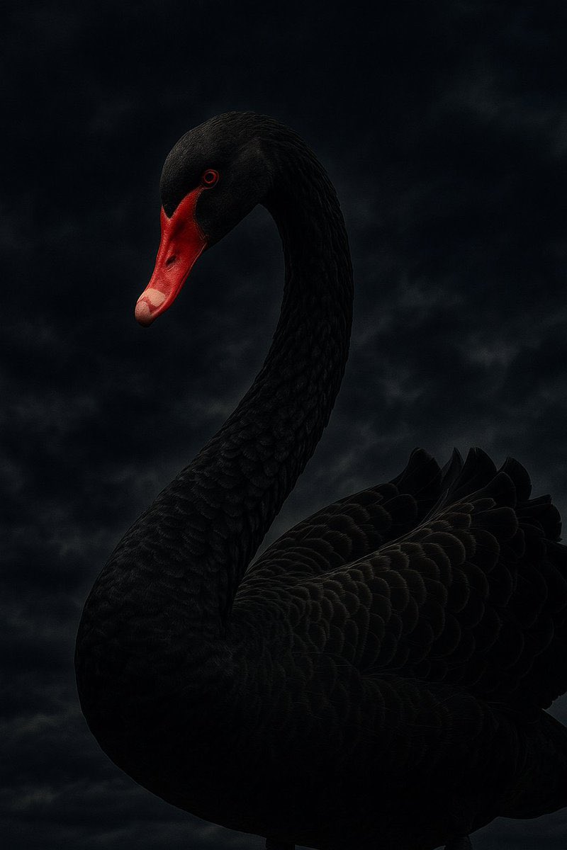 🚨 #SONDAKİKA

İsrail’in bu gece İran’a saldıracağı SÖYLENİYOR!