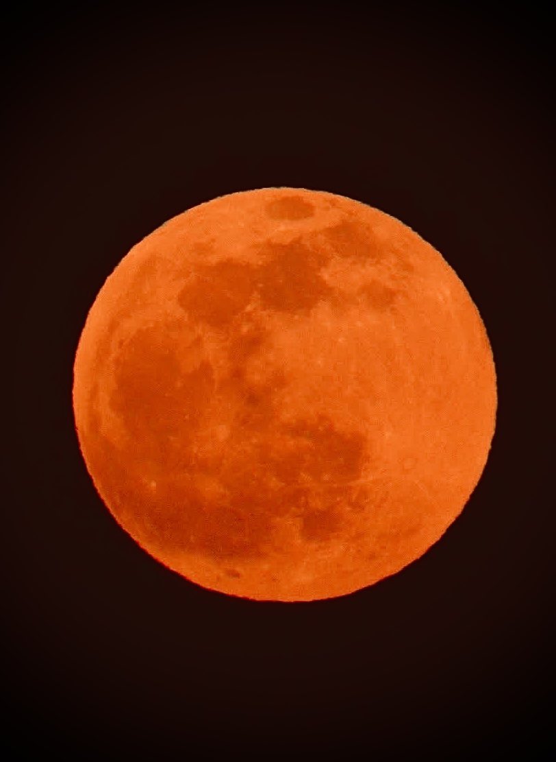 Tiffany Story (@love_story1993) on Twitter photo “And now we’re driving in the truck under the Full Strawberry Moon, wish we could hit the brakes and stay forever June”<a href="/gwenstefani/">Gwen Stefani</a> listening to your amazing song Late To Bloom while watching/photographing the full Strawberry Moon last night was such a magical “And now we’re driving in the truck under the Full Strawberry Moon, wish we could hit the brakes and stay forever June”<a href="/gwenstefani/">Gwen Stefani</a> listening to your amazing song Late To Bloom while watching/photographing the full Strawberry Moon last night was such a magical
