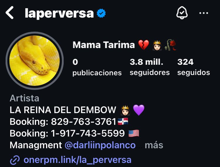 perversasources's tweet photo. @laperversa_17 actualizó su foto perfil en instagram 🐍

#instagram https://t.co/l8reG6RgG5