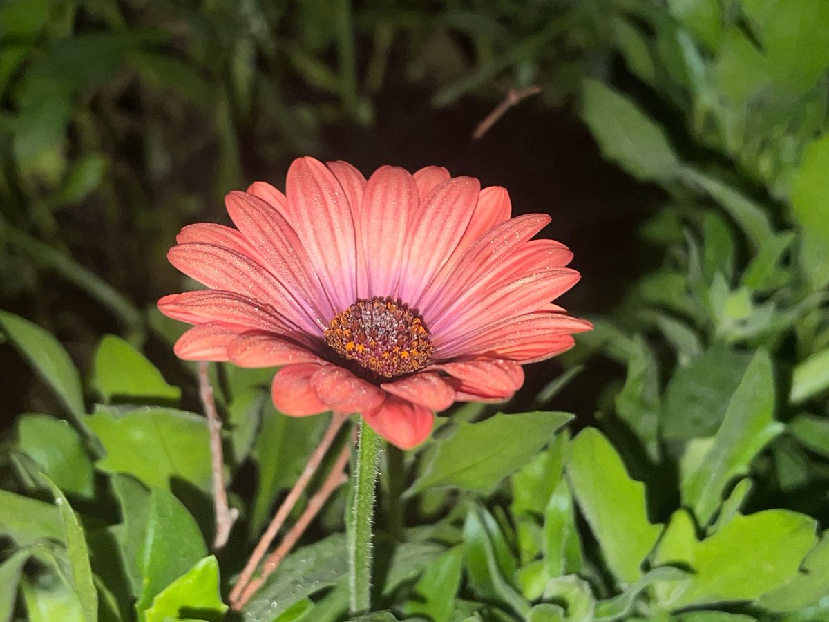 Happy Friday #bloomscrolling