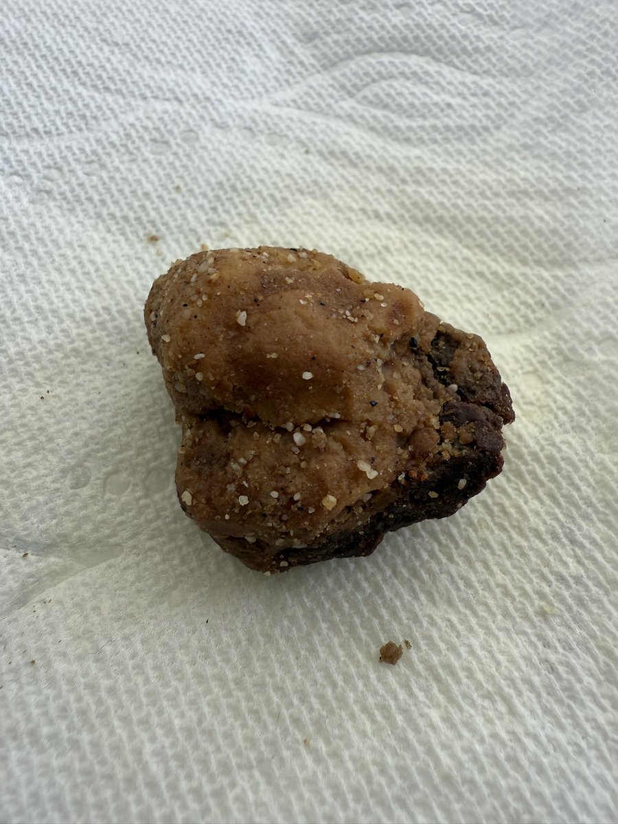 provalonely's tweet photo. @Nutrish WTH is this in the new bag of Limited Ingredient Lamb Meal &amp; Brown Rice dog food that I just purchased?! My dog has been eating this food for 10 YEARS but a few months ago I had an issue with her getting extremely sick from a new bag, and now THIS in another new bag!! https://t.co/KIto1YWVqe