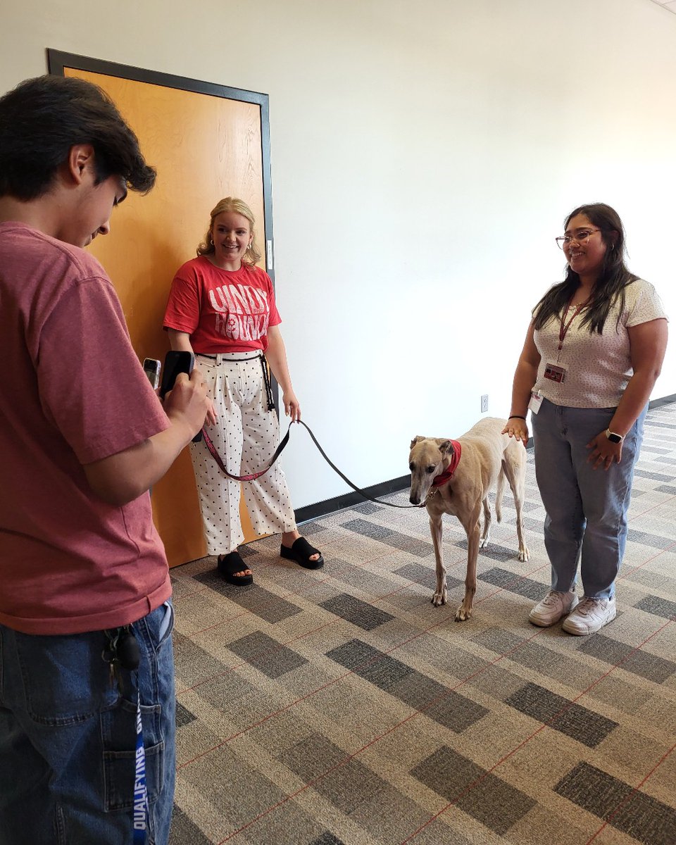 University of Indianapolis (@uindy) on Twitter photo Grady the Greyhound (<a href="/uindyhound/">Grady the Greyhound</a>) made it his mission to welcome as many of his future Hounds as possible today, and judging by the many pets and selfies, he succeeded. #newhoundsday Grady the Greyhound (<a href="/uindyhound/">Grady the Greyhound</a>) made it his mission to welcome as many of his future Hounds as possible today, and judging by the many pets and selfies, he succeeded. #newhoundsday