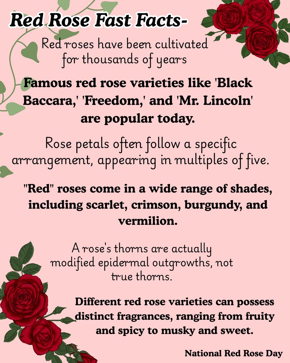 Coco Chanel played a role in popularizing roses (including red ones) in fashion, often using them in her designs. The more you know! #NationalRedRoseDay

#CelebrateEveryDay #NationalDayCalendar #CelebrationStation