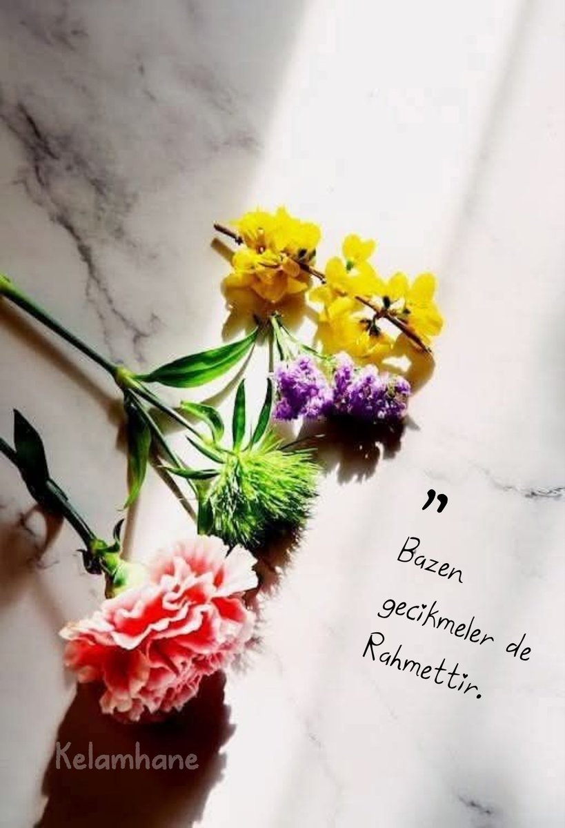 “ Sevgili Dost!
 Bazen gecikmeler de Rahmettir. ”