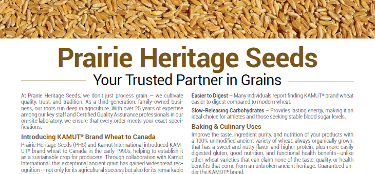 STEP (@sasktrade) on Twitter photo #STEPMember <a href="/PHSOrganics/">PrairieHeritageSeeds</a> is a family-owned business w/ over 25 years expertise. Certified Quality Assurance professionals ensure every order in their on-site lab.
Discover KAMUT® Brand Wheat on pg. 30 of #GlobalVentures: sasktrade.com/global-venture… #STEPMember <a href="/PHSOrganics/">PrairieHeritageSeeds</a> is a family-owned business w/ over 25 years expertise. Certified Quality Assurance professionals ensure every order in their on-site lab.
Discover KAMUT® Brand Wheat on pg. 30 of #GlobalVentures: sasktrade.com/global-venture…