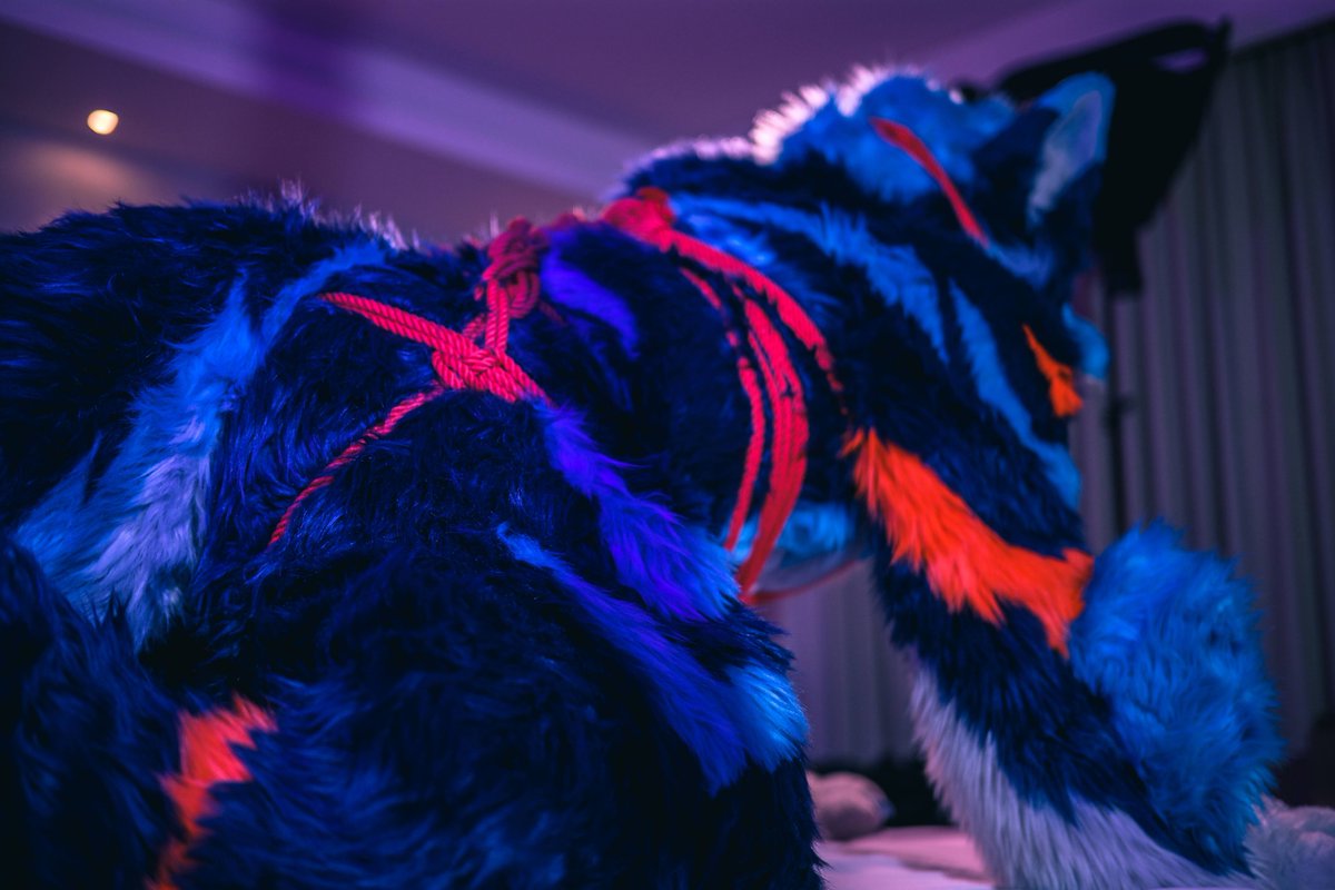 I can't...resist...
📸 <a href="/racoonwolf/">Rac'n 🐾 UTFG</a> 
🐯 <a href="/vincentorczk/">Vincent</a> 
#FursuitFriday