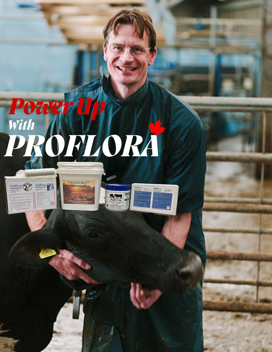 ProFlora (@proflora_cap) on Twitter photo Calving & Transition Matter ๐
Support your fresh cows during the most critical time โ calving and transition.
โ๏ธ ProFlora Calcium Bolus โ rapid calcium support
โ๏ธ Probiotics โ gut balance & immunity
โ๏ธ Glycol Capsules โ energy to fight ketosis
Stronger starts. Faster recovery. Calving & Transition Matter ๐
Support your fresh cows during the most critical time โ calving and transition.
โ๏ธ ProFlora Calcium Bolus โ rapid calcium support
โ๏ธ Probiotics โ gut balance & immunity
โ๏ธ Glycol Capsules โ energy to fight ketosis
Stronger starts. Faster recovery.