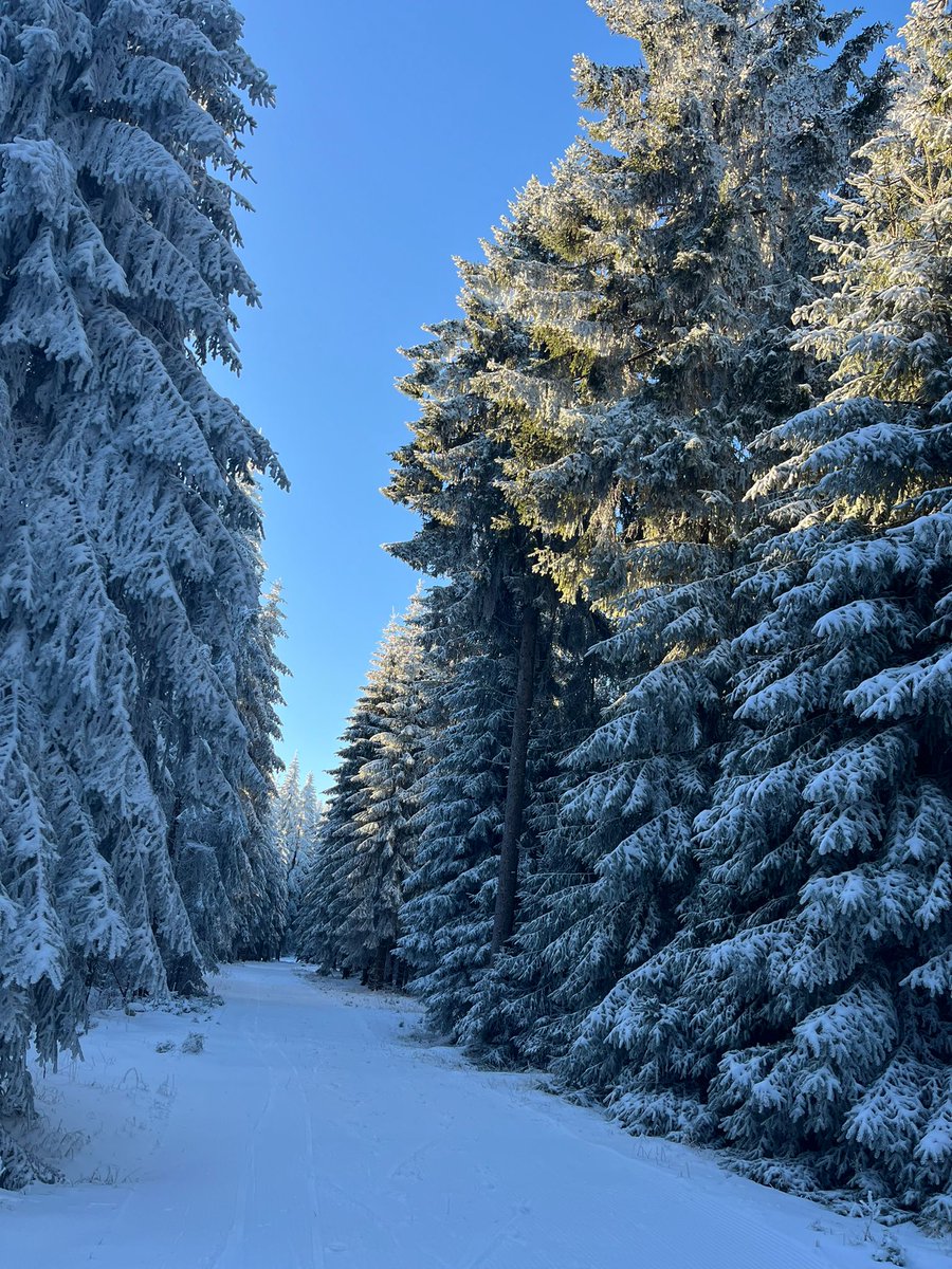 ..Do you have a Picture with the Colour Blue?
#photooftheday