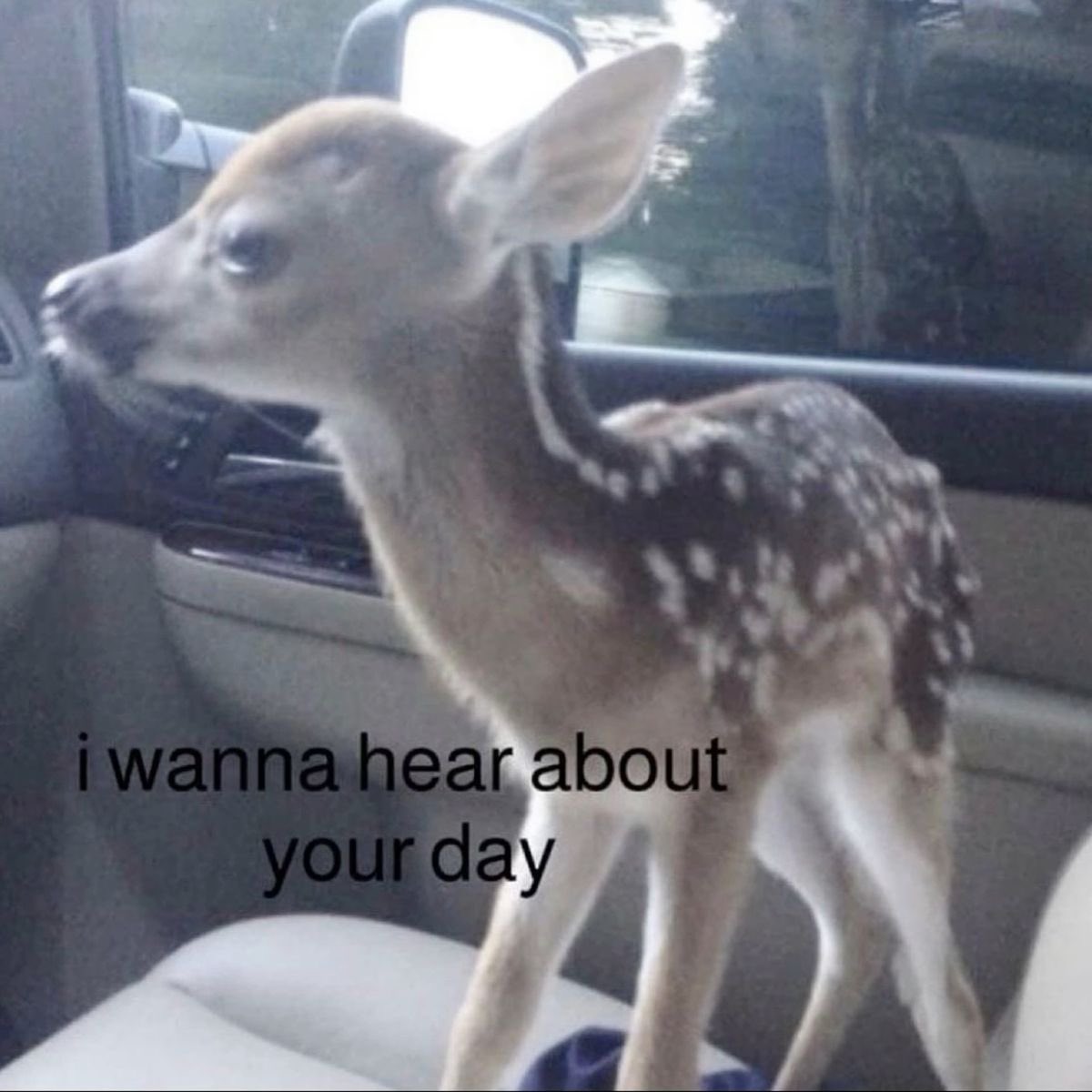 GalaxyZeinzVA tweet media