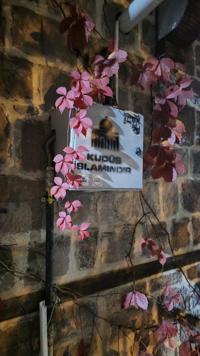 Gazze'de akan kan, ümmetin kalbinde açılan yaradır. Bu yarayı sarmak, her Müslüman'ın vazifesidir.
#MarchToGaza
#MısırYürüyüşüEngelleme #EygptDontObstacleToMarch