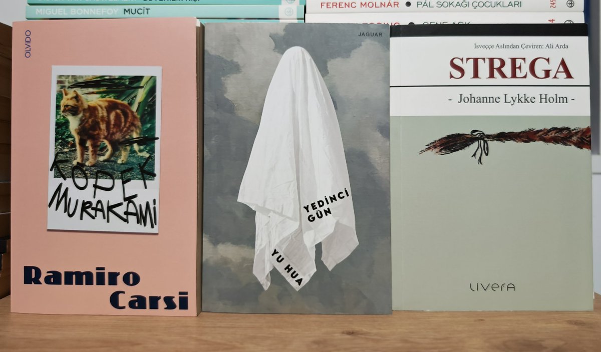 Jaguar, Olvido ve Livera'dan üç güzel kitap aldım. 
Köpek Murakami - Ramiro Çarşı
Yedinci Gün - Yu Hua
Strega - Johanne Lykke Holm