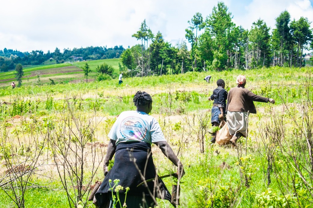 yfga_kenya's tweet image. 𝐏𝐇𝐀𝐒𝐄 𝟐 𝐎𝐅 𝐓𝐇𝐄 𝐊𝐈𝐏𝐊𝐀𝐁𝐔𝐒 𝟐𝟎𝟎,𝟎𝟎𝟎 𝐓𝐑𝐄𝐄𝐒 𝐈𝐒 𝐇𝐄𝐑𝐄! 𝐖𝐞 𝐡𝐚𝐯𝐞 𝐤𝐢𝐜𝐤𝐞𝐝 𝐨𝐟𝐟 𝐭𝐡𝐞 𝐬𝐞𝐜𝐨𝐧𝐝 𝐩𝐡𝐚𝐬𝐞 𝐨𝐟 𝐭𝐡𝐞 𝐊𝐢𝐩𝐤𝐚𝐛𝐮𝐬 𝐅𝐨𝐫𝐞𝐬𝐭 𝟐𝟎𝟎,𝟎𝟎𝟎 𝐓𝐫𝐞𝐞𝐬 𝐩𝐥𝐚𝐧𝐭𝐢𝐧𝐠 𝐢𝐧𝐢𝐭𝐢𝐚𝐭𝐢𝐯𝐞 𝐢𝐧 𝐄𝐥𝐠𝐞𝐲𝐨 @gitdubai