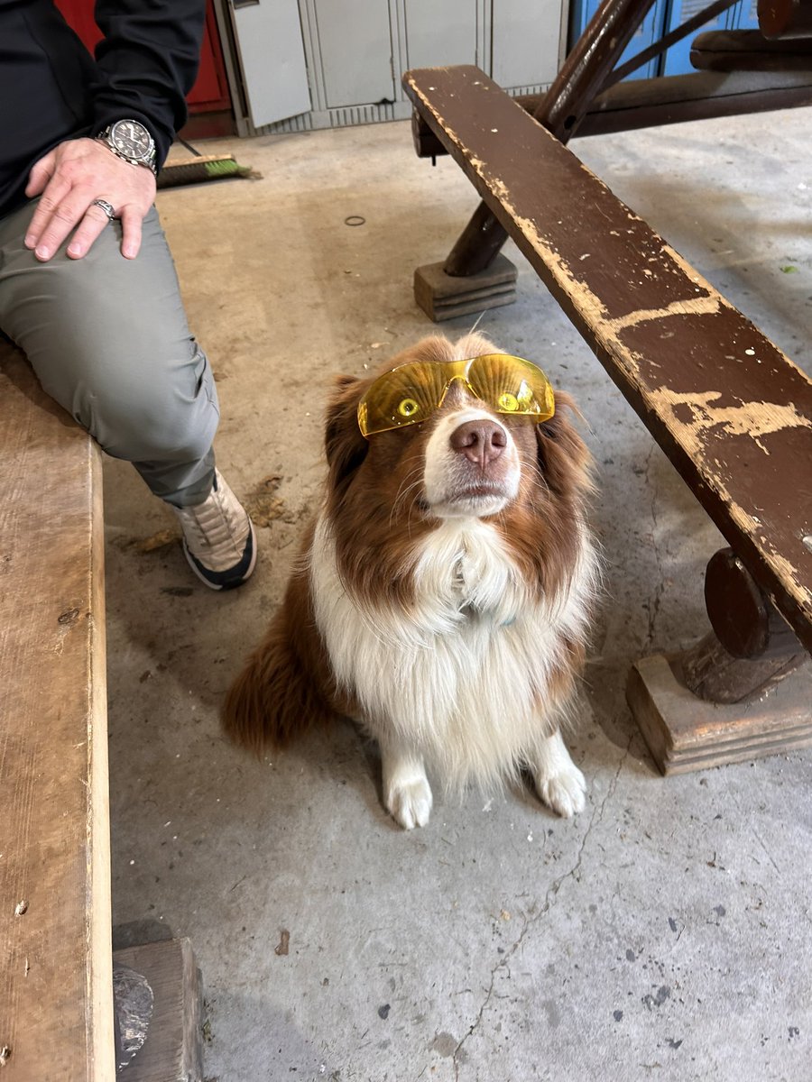 Safety First Kids! Ready to get whippin’